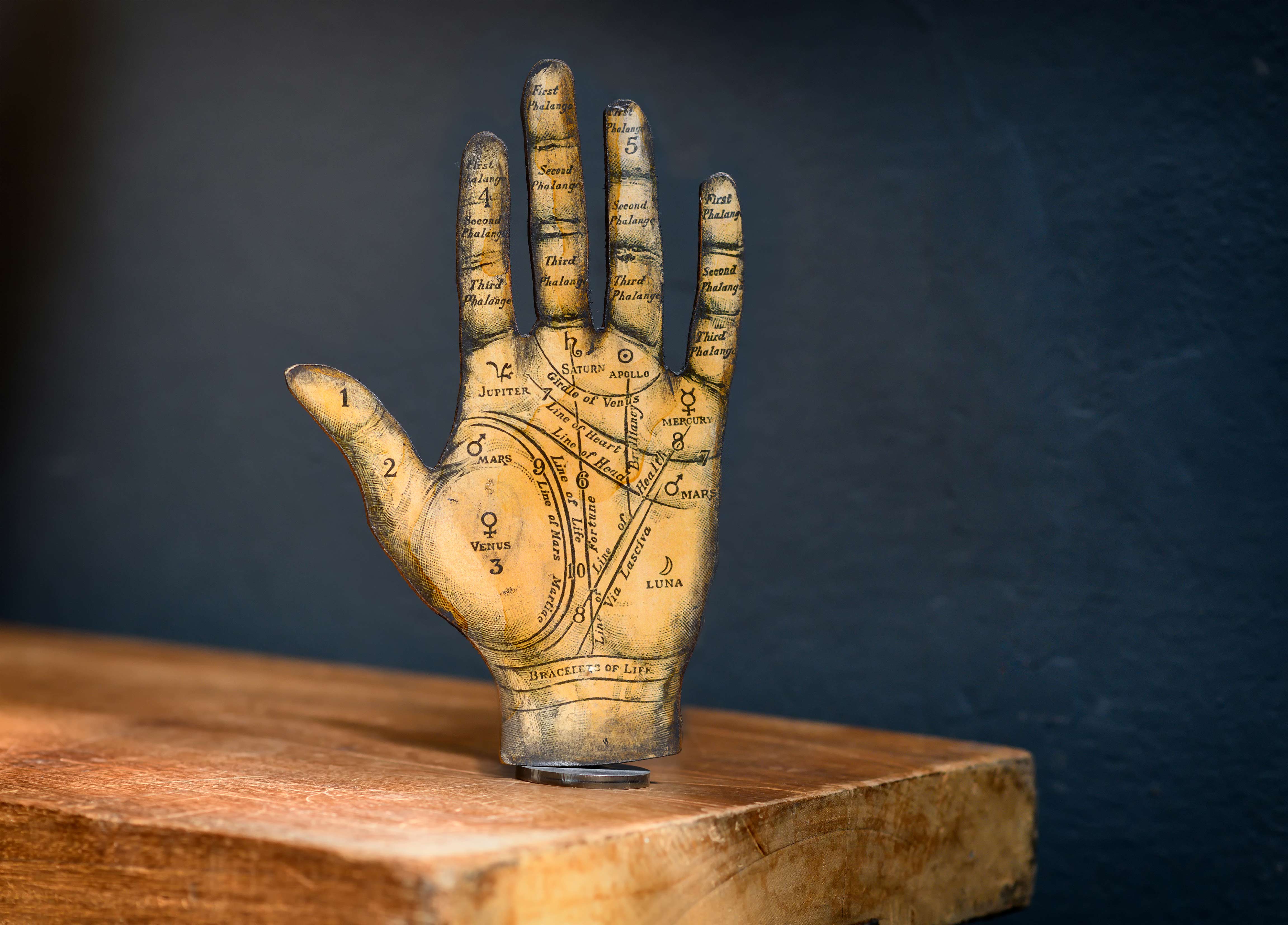 Palm Reading